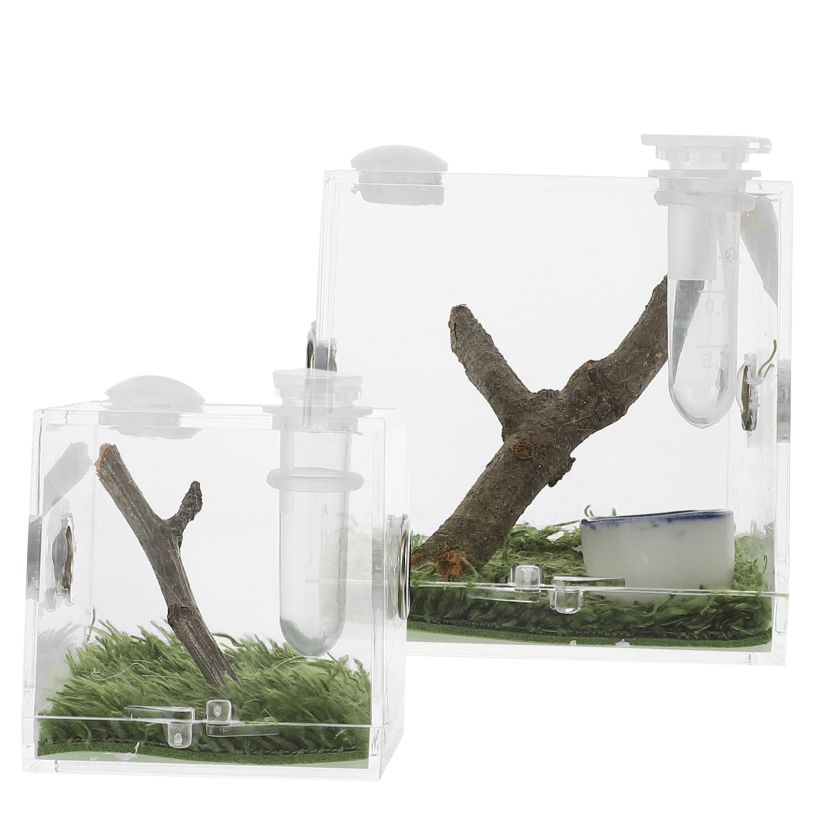 アクリル製幼虫飼育ケース 透明・青 楽天市場】飼育ケース 透明の通販