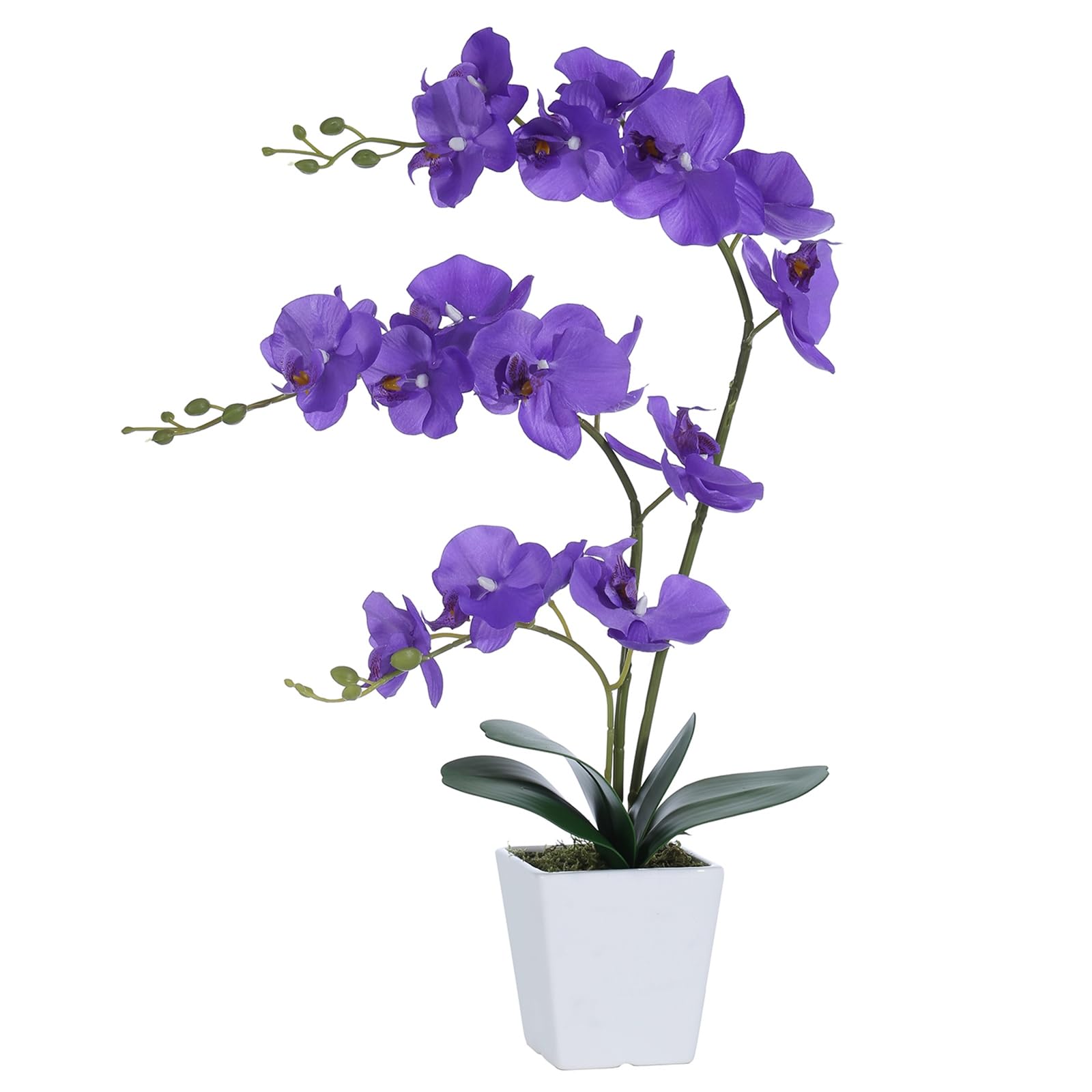 YSZL Faux Orchid in Vase Large Artificial Orchid in Ceramic Vase Silk Orchids with Stems Real Look Potted Phalaenopsis Flowers Arrangement Centerpiece Table Decorations for Home Decor Indoor, Purple