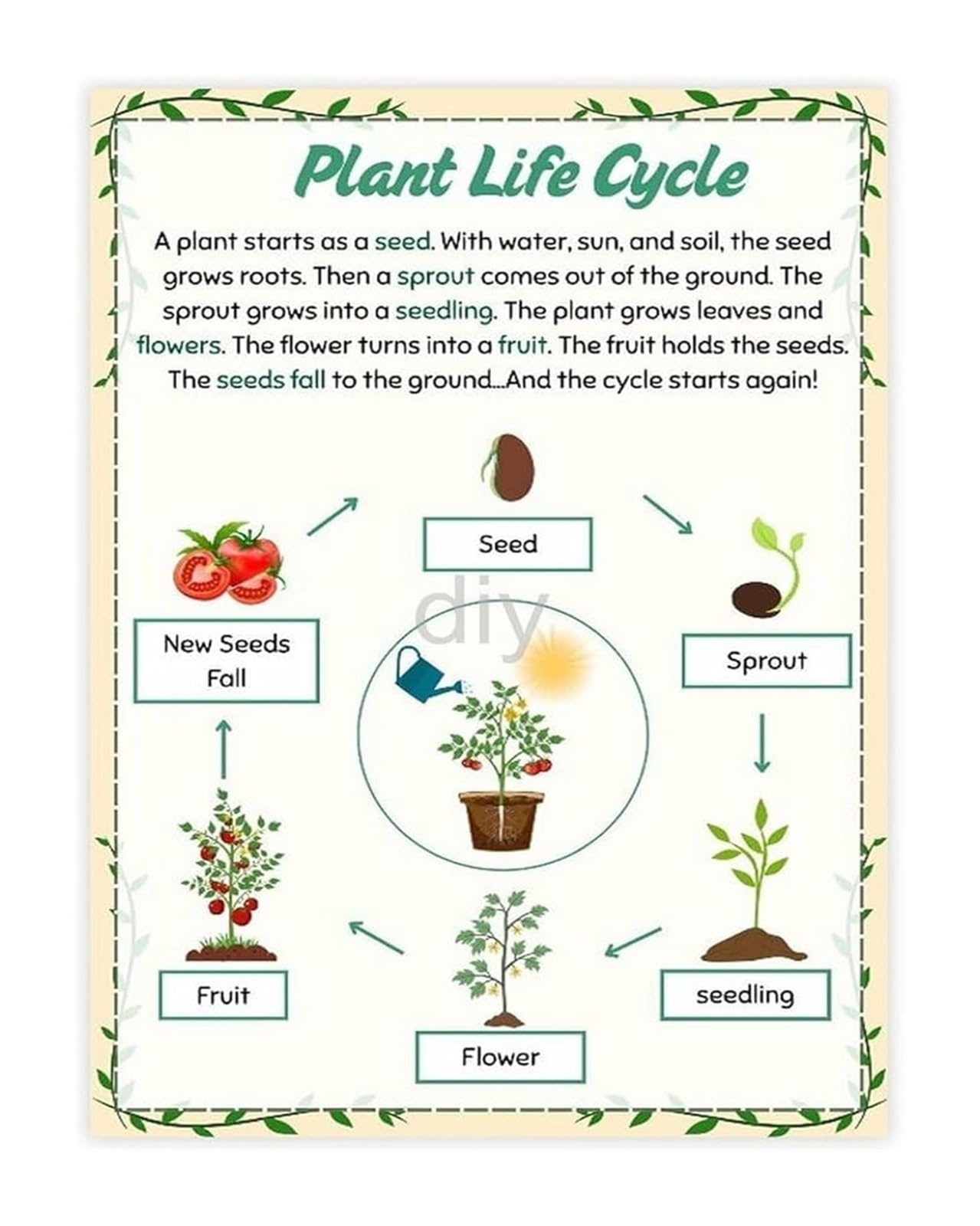 FOPURE Plant Life Cycle Educational Chart Biology Science Poster Wall Decor for Classroom and Homeschool​(Framed,08x12inch(20x30cm))