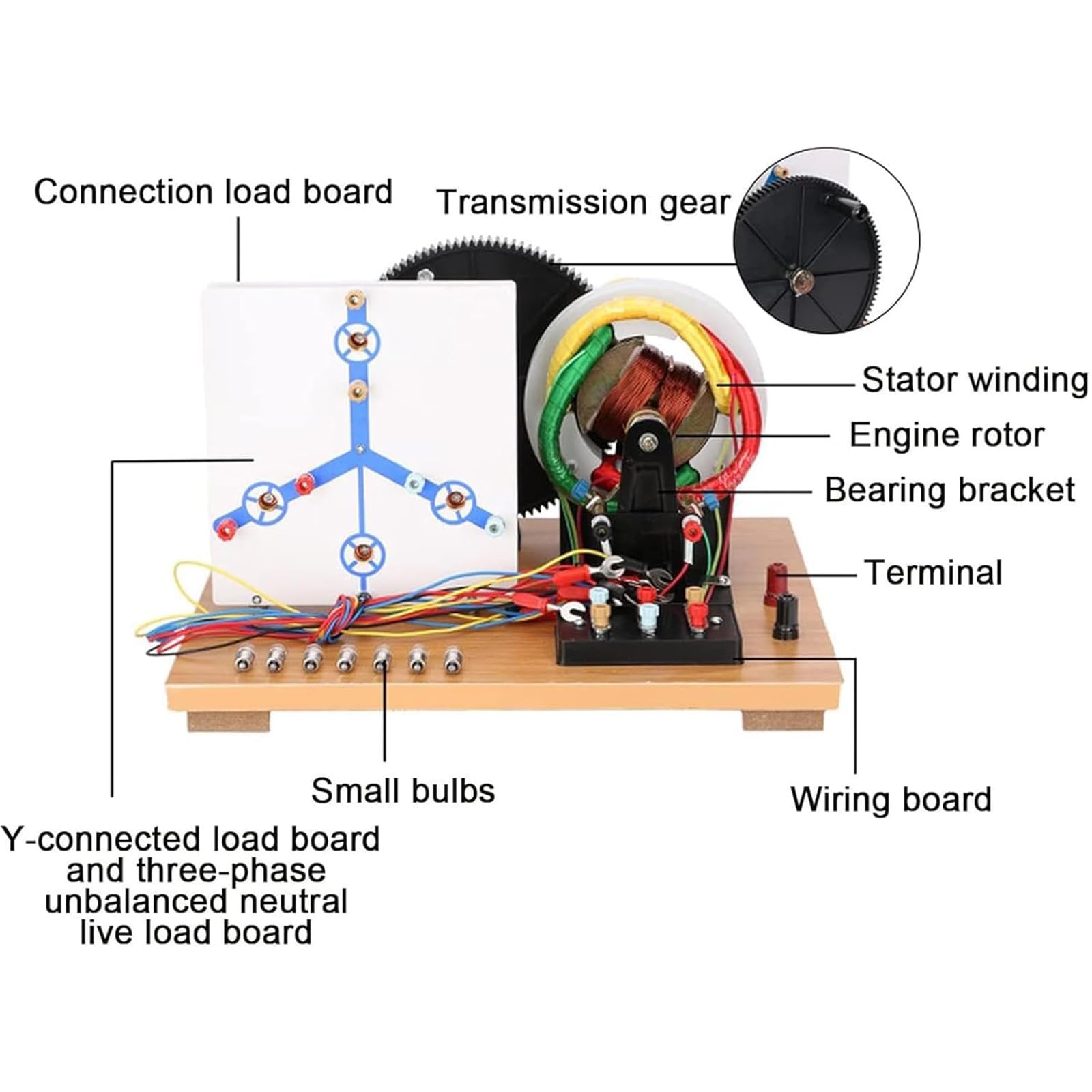 Modelo Físico De Generador Trifásico Ca/CC con Manivela Manual, Modelos De Generadores Dinamo Educativos para Bricolaje, Instrumento Didáctico De Física para Laboratorios Escolares Y