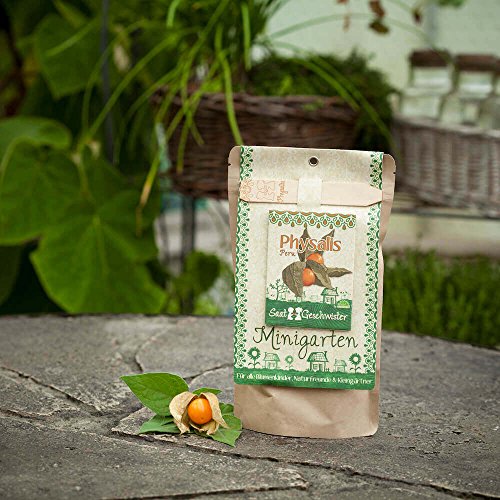 Die Stadtgärtner Minigarten Physalis "Peru" | Komplettes Anzuchtset für die süß-sauren Lampions | Gesiebte Erde, bestes Saatgut & eine ausführliche Anleitung - Image 4