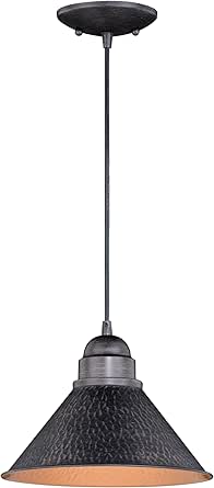 VAXCEL Outland Rustic Farmhouse 1-Light Barn Dome Pendant Light Fixture for Porch or Patio, Indoor/Outdoor Hammered Steel Hanging Ceiling Porch Light, Aged Black, 10" W x 7.5" H x 10" D