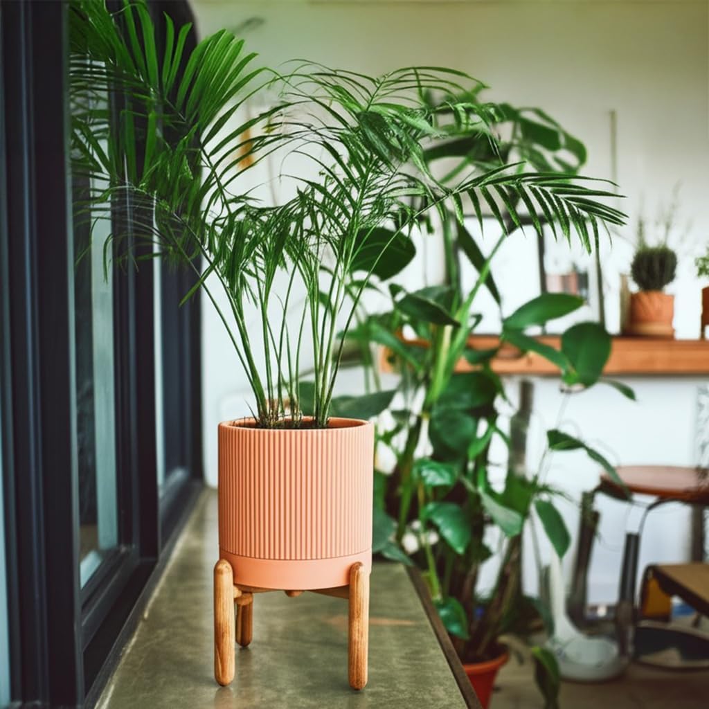 Large Terracotta Pots, 8 Inch Clay Planter Pots with Drainage Hole & Saucer (with Stand), Garden Planters for Indoor/Ourdoor Plants, Cactus & Snake Plant