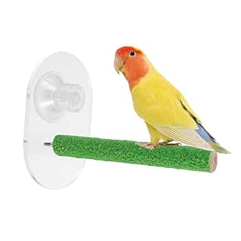 【中型〜大型鳥さん用】重量13kg！どっしり♬止まり木 楽天市場】止まり木 大型の通販