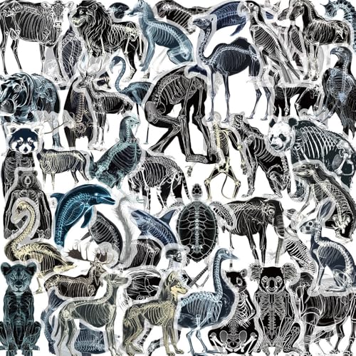 50Zbg i UCXg  RȊw W{X^C XebJ[ h fJ[   lC m[gp\R p\R Xm{ XP[g{[h ו X[cP[X M^[  X}zP[X XP{[ J[ ] oCN