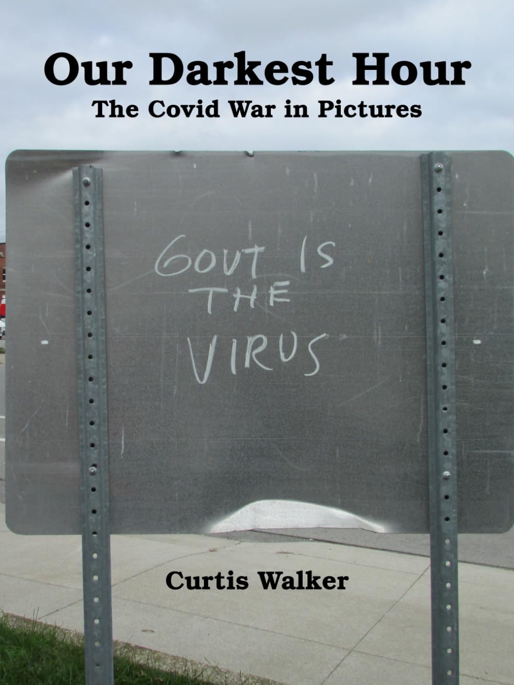 Our Darkest Hour: The Covid War in Pictures