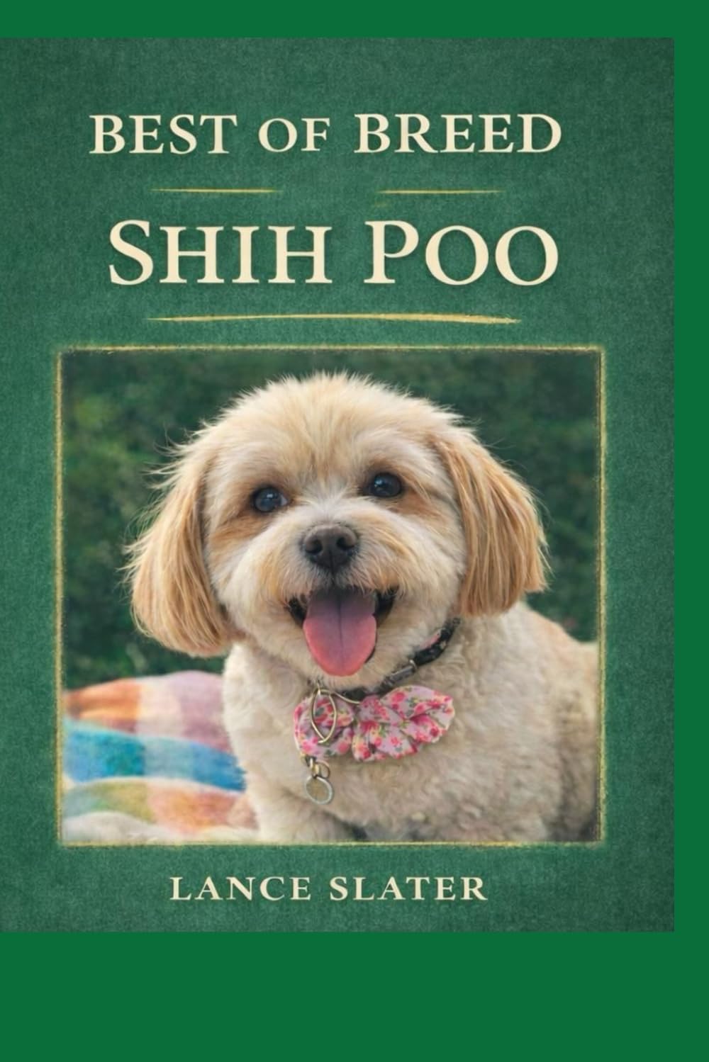 The Best Breed The Shih Poo: The Best Breed The Shih Poo