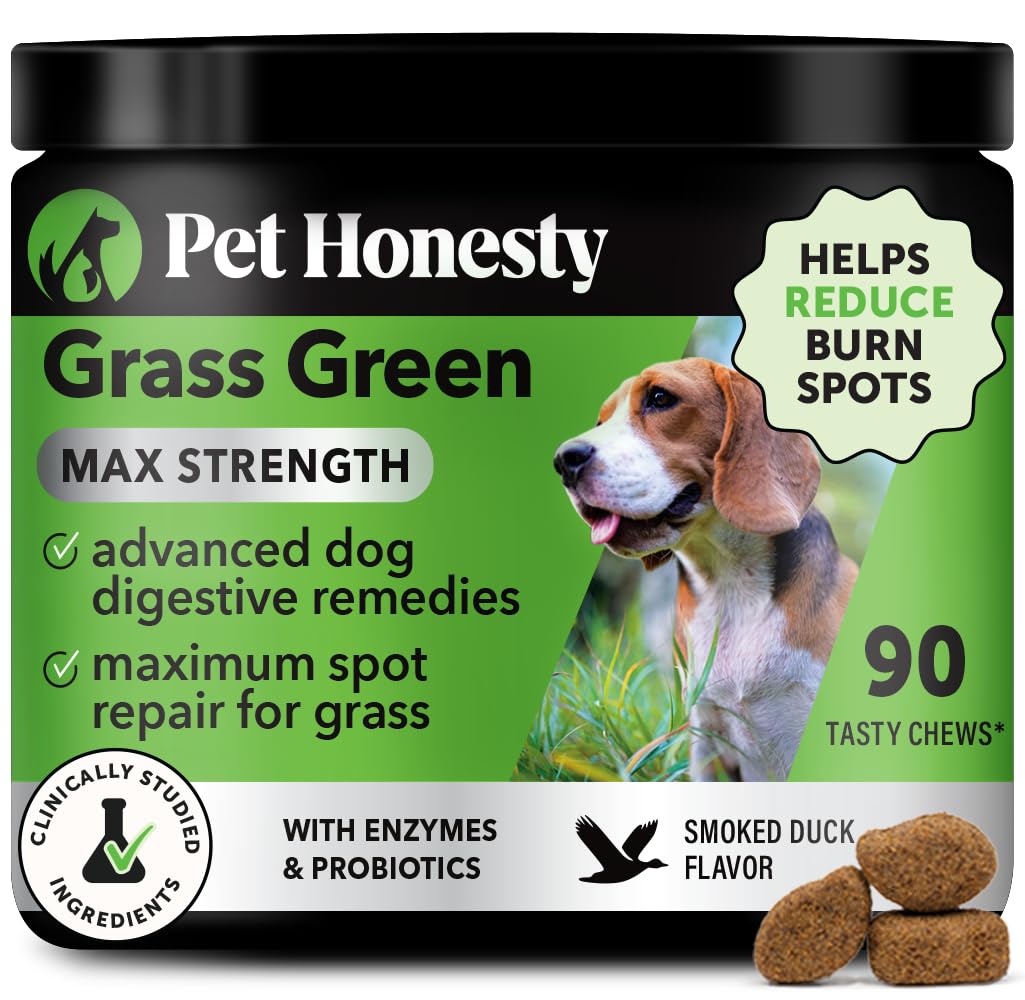 Pet Honesty Grass Green Max Strength Burn Spot Chews for Dogs - Premium Formula - Dog Pee Lawn Spot Saver Supplement Caused by Dog Urine, Supports Healthy Digestion w/Probiotics + DL-Methionine -90ct