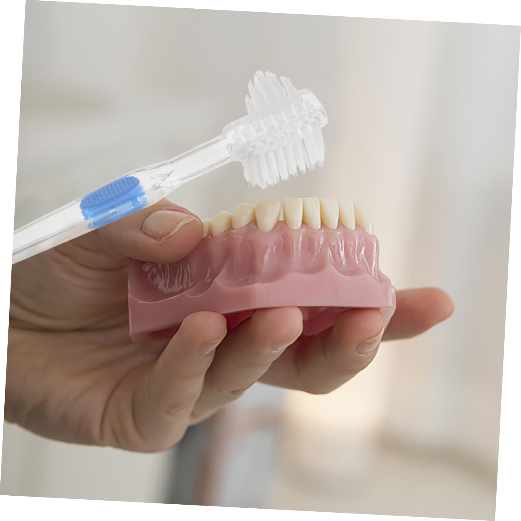Mobestech 15pezzi Spazzolino Denti Falsi Trasparente Da Spazzola Bifacciale Per Pulizia Dentiere Manico Antiscivolo e Testina Multi-setole Per Rimuovere Macchie e Residui Alimentari