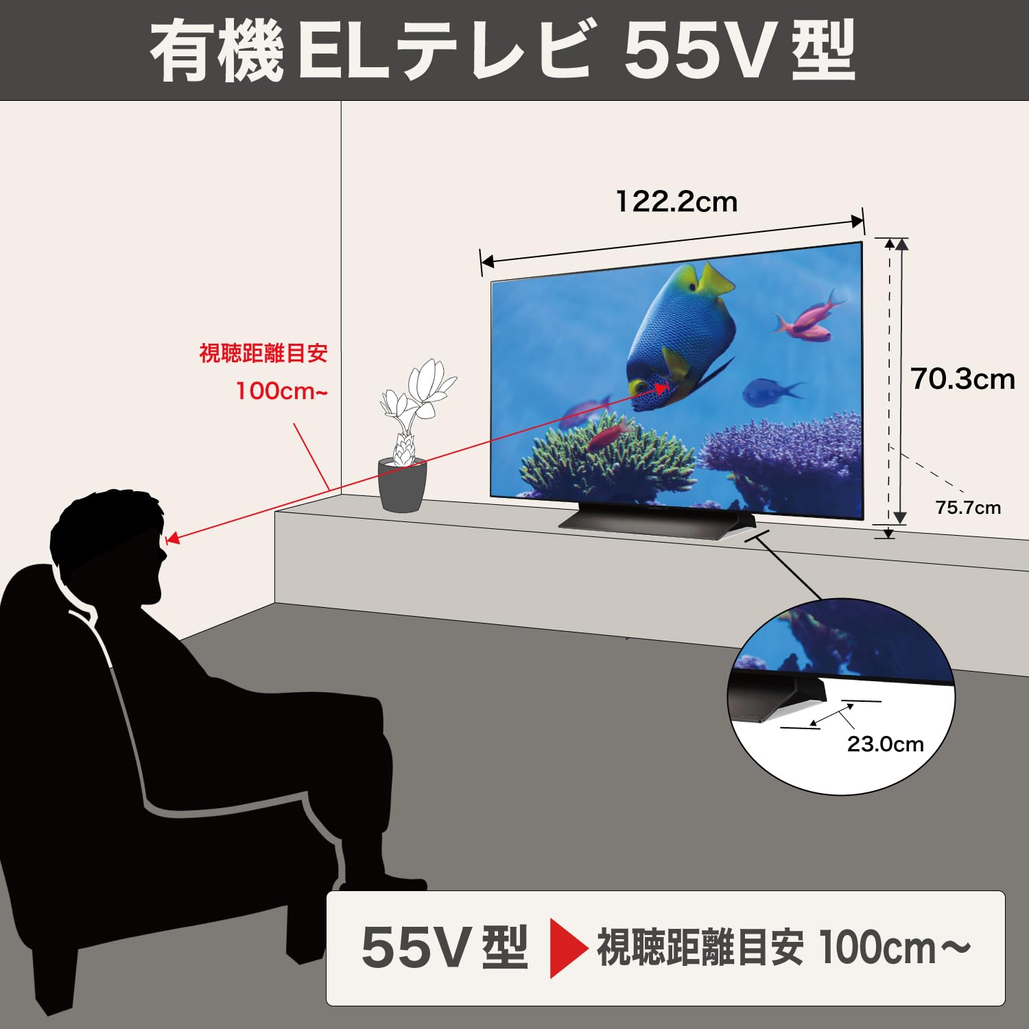 Amazon | LG 有機EL テレビ 55V型 4Kチューナー内蔵 OLED55C5PJA