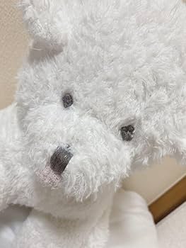 Amazon.co.jp: ジェラピケ ビジョンフリーゼ ティッシュケース