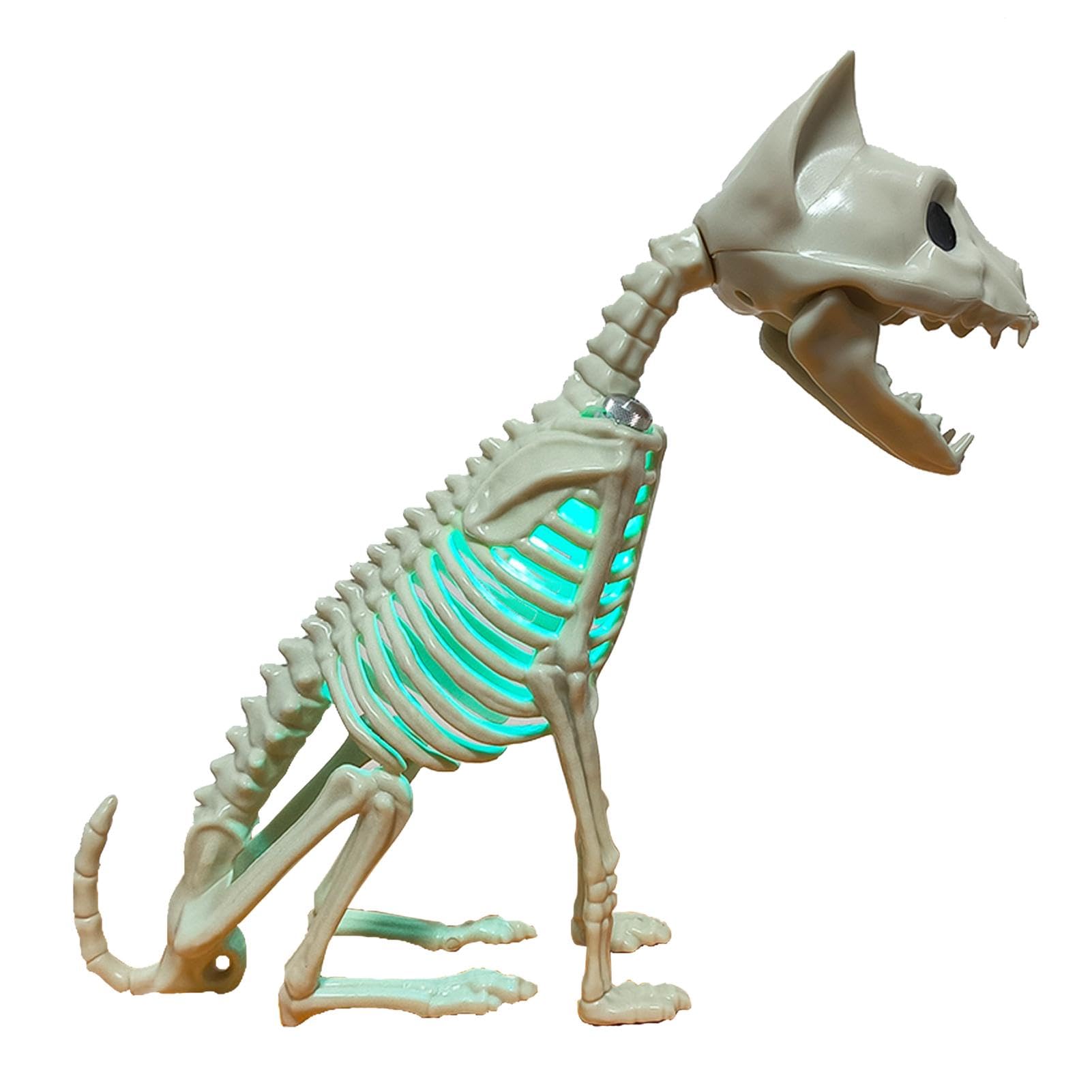 Amazon.co.jp: スケルトン猫像最も怖い動物の頭蓋骨ライト小さな