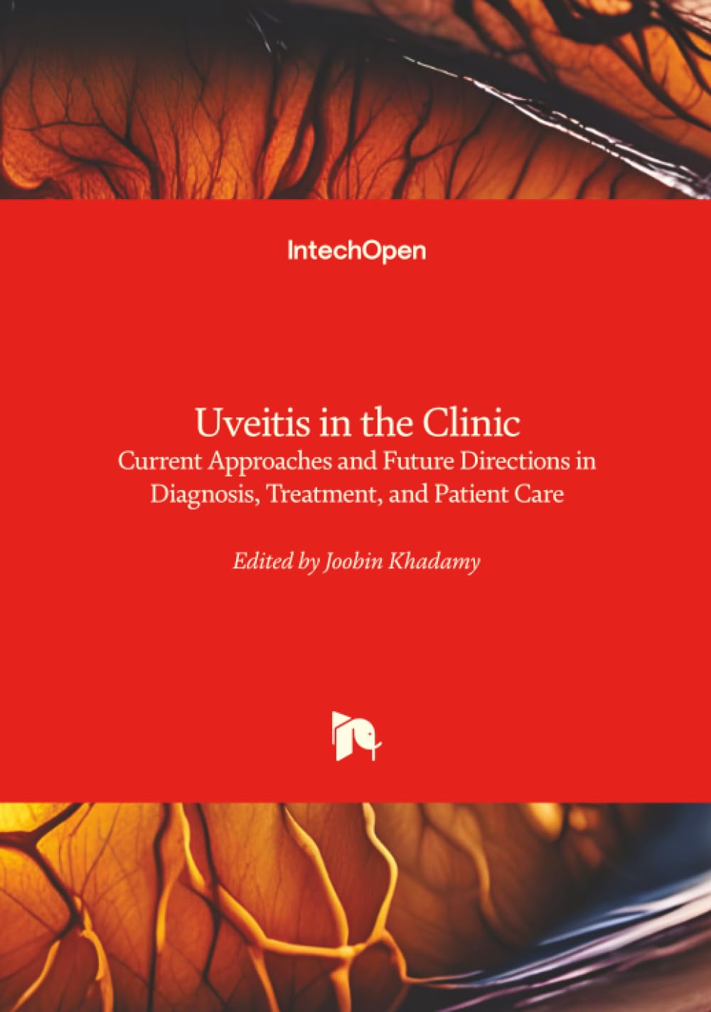 Uveitis in the Clinic - Current Approaches and Future Directions in Diagnosis, Treatment, and Patient Care