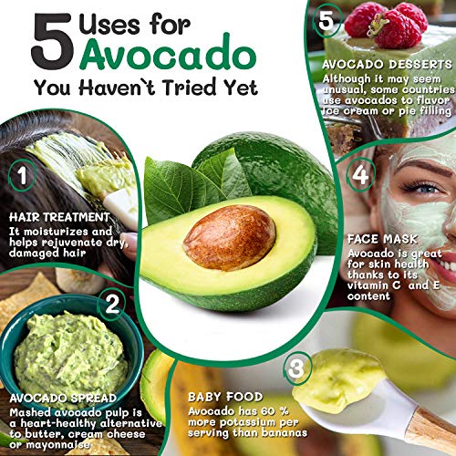 EKARIAN Avocado Growing Tool | Geschenke für Frauen | Avocado Pflanzen | Geburtstagsgeschenk | Avocado züchten | Avocado Schneider | Avocadobaum Pflanzen | Ebook - Image 4
