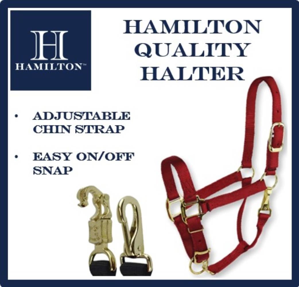 Hamilton - Cavezza Regolabile in Nylon, 2,5 cm