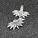 Clips de cristales para zapatos y ropa, 2 piezas de adornos de...