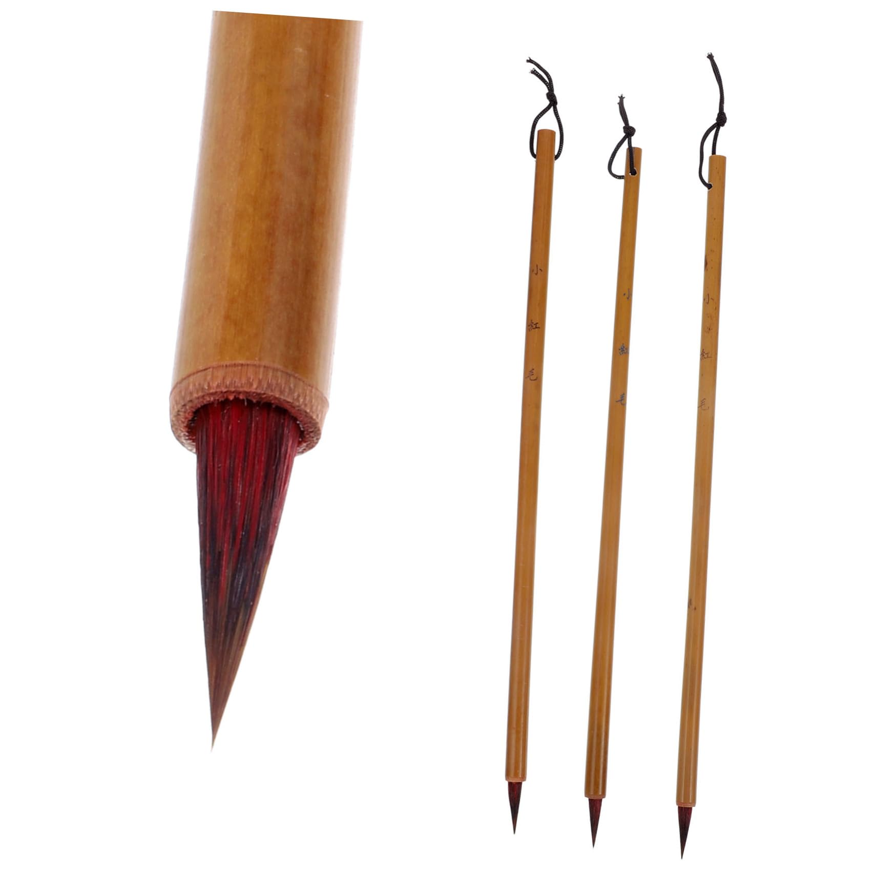Gogogmee 3Pcs Chinese Calligraphy Brushes Professional Watercolor Ink Pens for Beginners and Artists for Chinese Writing Practice and Painting Lightweight and Portable