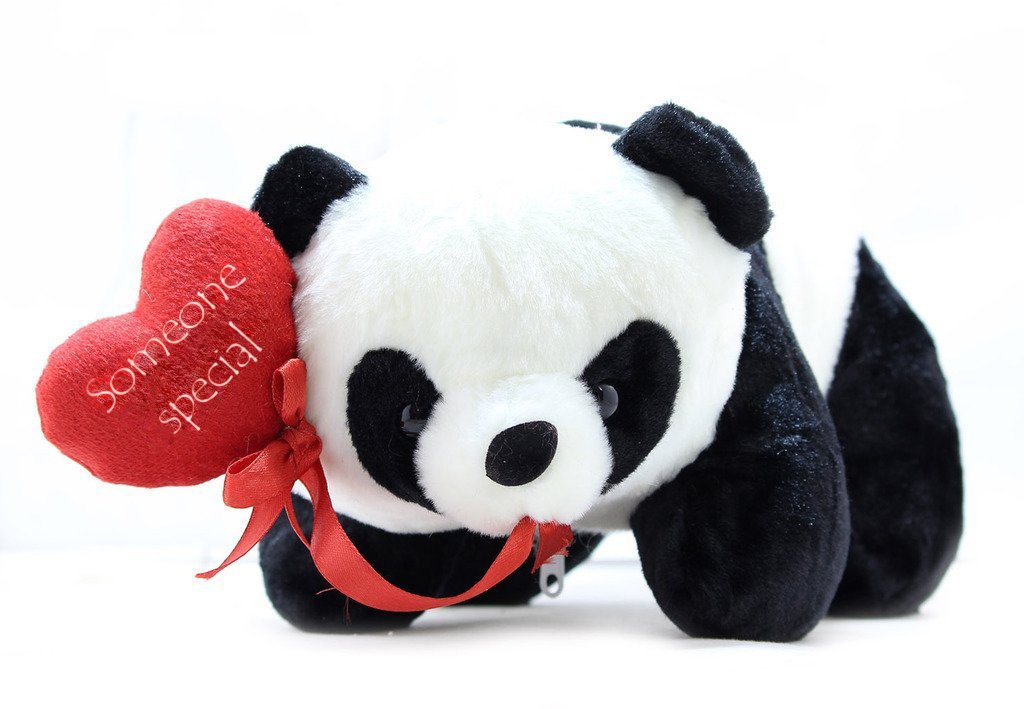 Tickles Soft Stuffed Plush Animal Toy Romantic Panda with Some one Special Heart Valentine Gift for Girlfriend (Color: White &Black Size: 26 cm)