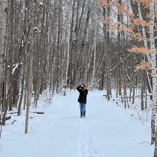 Sanilac Petroglyphs | Cass River