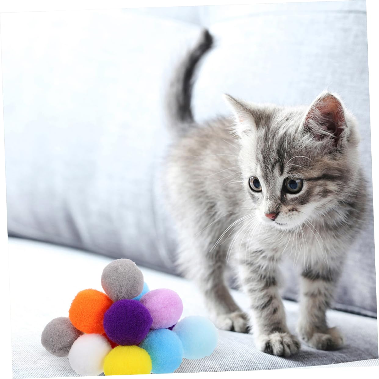 YARNOW 500 Pièces Balle Jouet pour Chat Chats d'intérieur Jouant aux balles Chasse Jouet s pour s à gratter pour d'intérieur Boules à mâcher pour Peluche