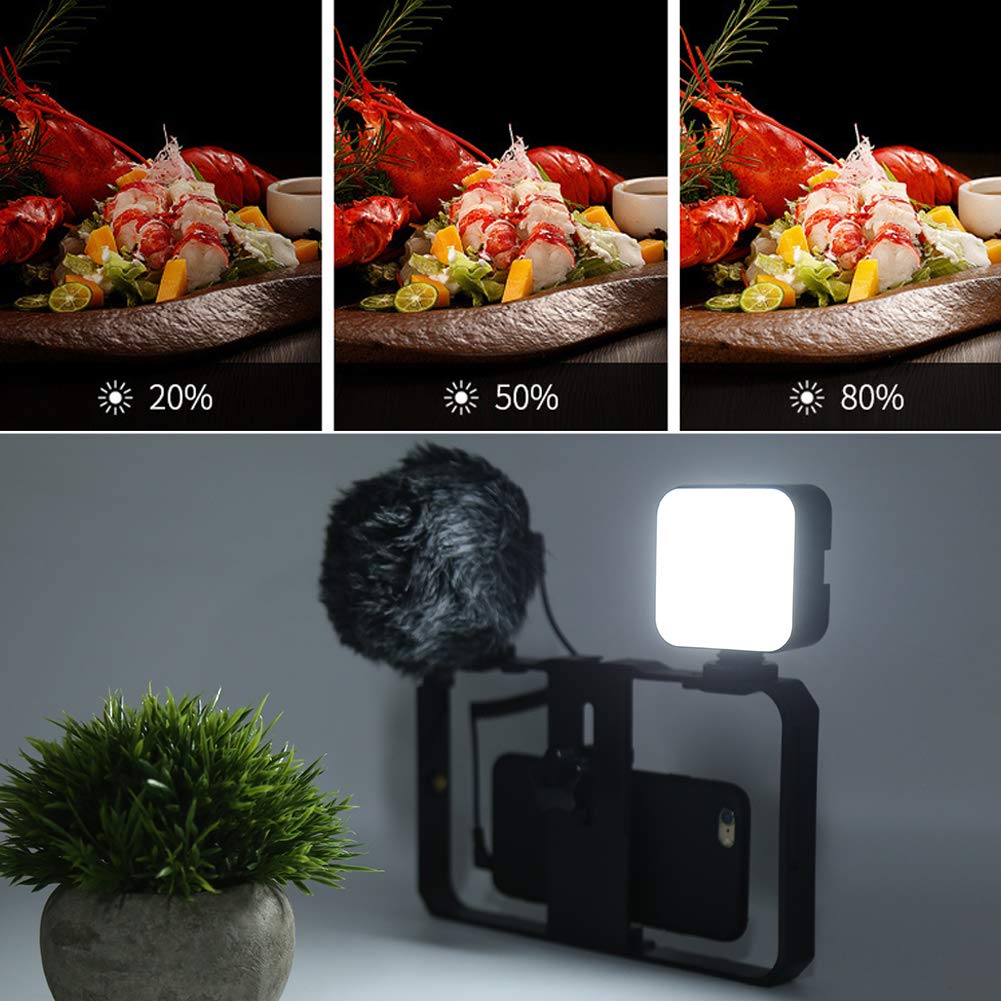 Kit de Jaula de Video para Teléfono Móvil, Micrófono Reductor de Ruido, Estabilizador de Disparo de Luz de Relleno LED para Maquillaje de Grabación de Video de Vlog