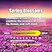 UltraScent Vacuum Stix, Vacuum Deodorizer & Air Freshener Sticks for All Vacuums, Long-Lasting Vacuum Cleaner Deodorizer, Non-Toxic, Made in USA (1-Pack (4 Stix), Spring Blossoms)