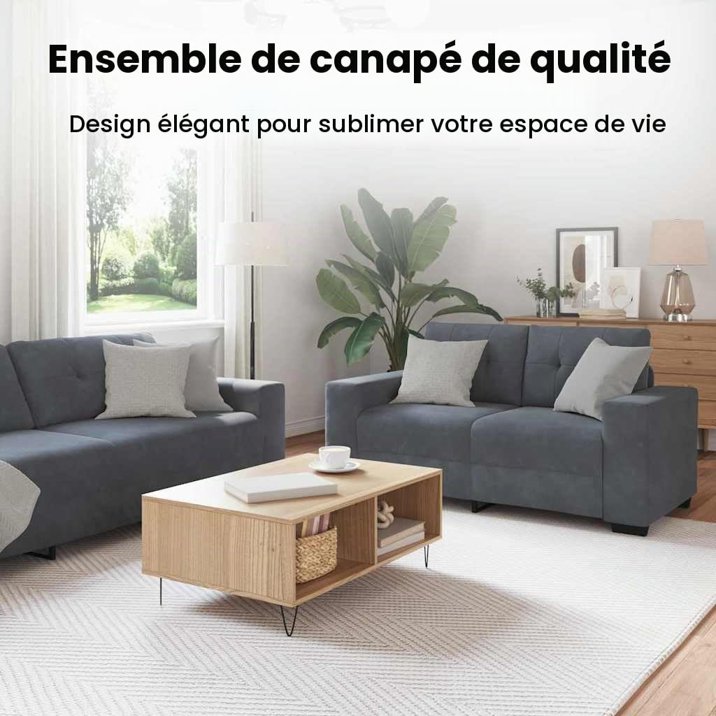 vidaXL Ensemble de Canapés 3 pcs Gris foncé 221 x 80 x 80 cm Velours, Mobilier Moderne abordable, Ensemble de canapés en Velours, Fauteuil Ergonomique, assises durables pour Le Salon