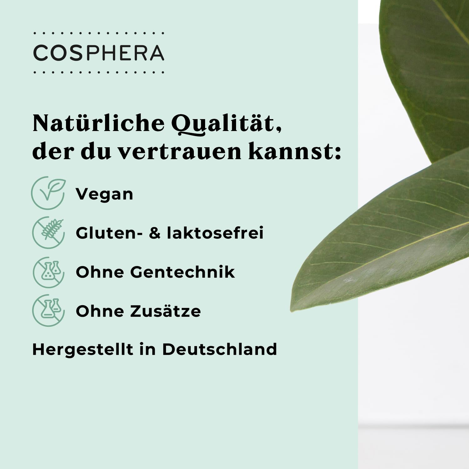COSPHERA® 13-in-1 Immun Komplex - mit Echinacea, Vitamin C, Zink, Selen, Zistrose, Quercetin, D3, B6, B9, B12 - Vitamin Komplex zum Immunsystem Stärken Erwachsene - Vegan & Hochdosiert