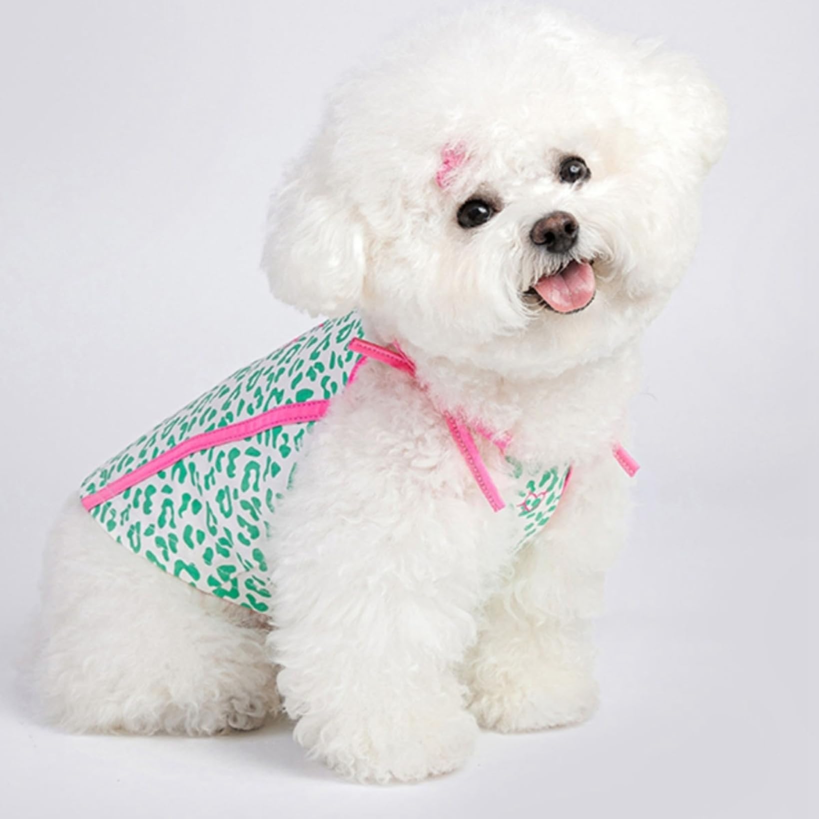 Amazon | 小型犬服 春夏 秋 可愛い ペット服 子犬 チワワ