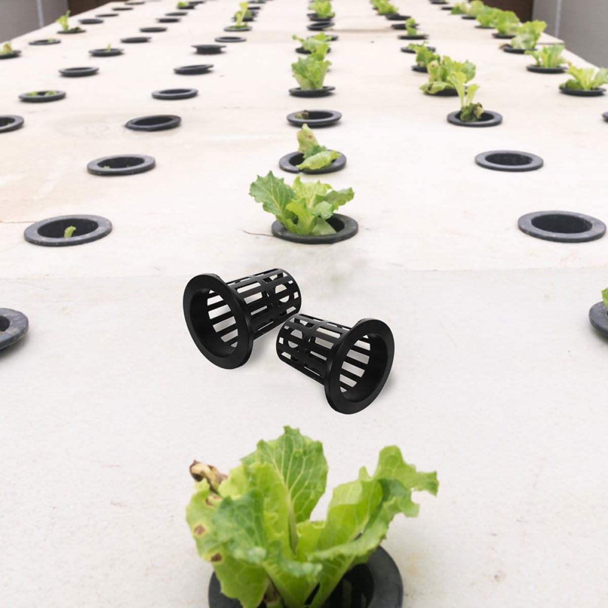 DOITOOL Pots en Filet pour Hydroponie 100 Pcs Paniers de Plantation en Plastique Noir 70 MM Godets de Culture pour Orchidées et Plantes Aquatiques Conteneurs Jardin Adaptés Culture