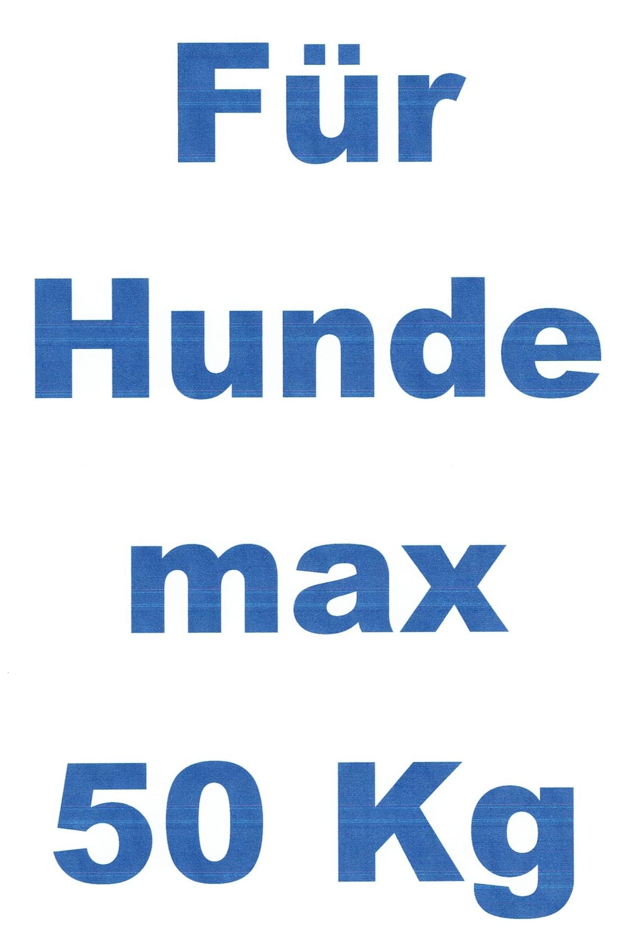 Runde HUNDELEINE 220cm/12mm, Nappa Leder, 3X verstellbar, für Hunde bis 50 Kg, Gelb, Türkis, Altrosa, Blau, Seladon (Himmel Blau)