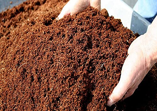 Image of SAPRETAILER Cocopeat Cocopit Block 650 Grams for Garden- Expands to 4 Kg Powder