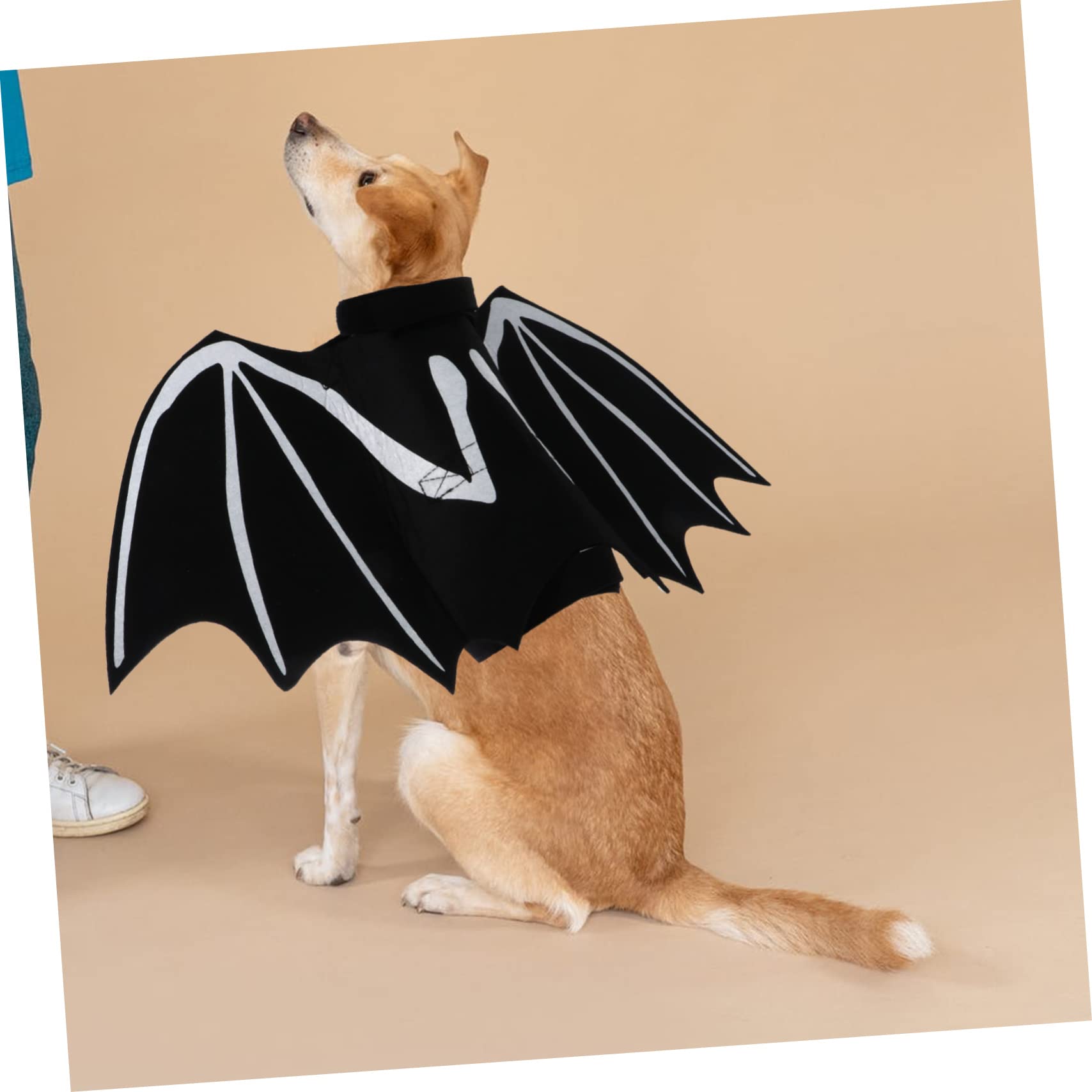 Happyyami 3pezzi Costume Per Animali Domestici Halloween Con Da Pipistrello Luminose Abbigliamento Per Gatti e Cani Pet Supplies Creativi e Confortevoli