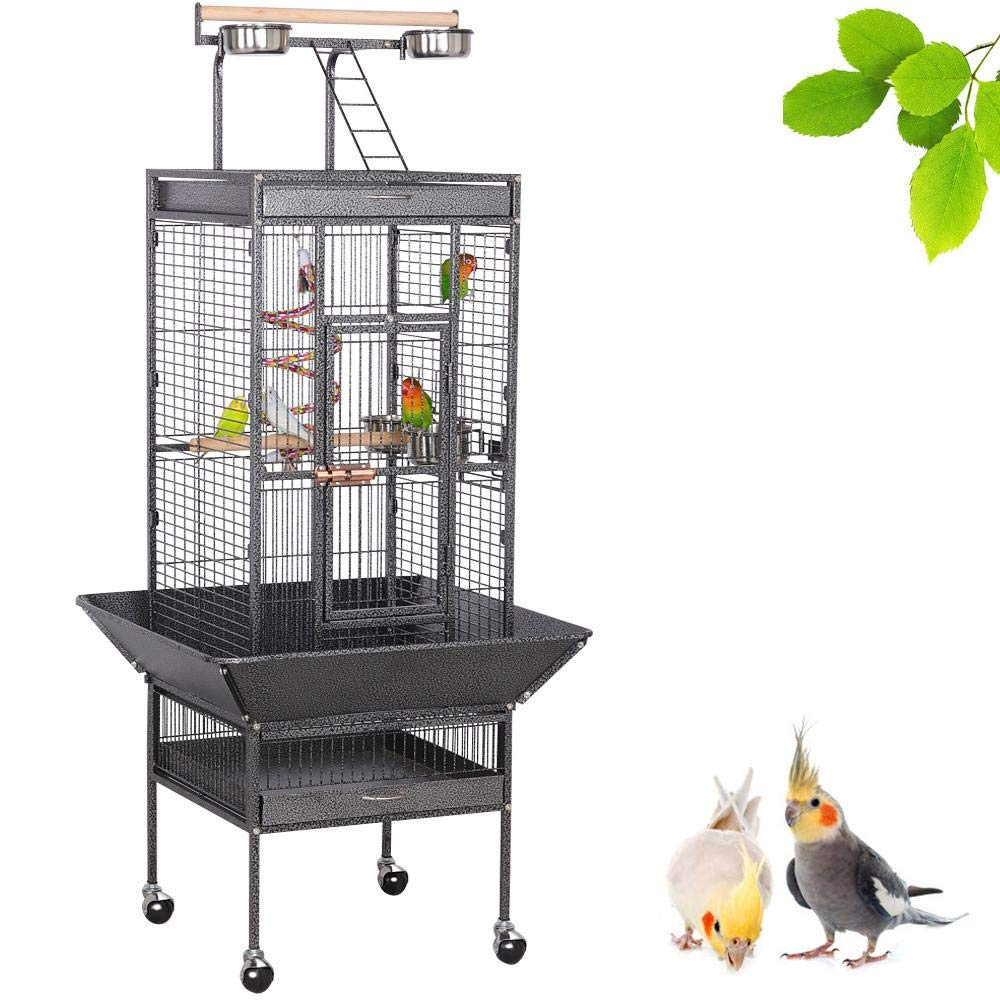 10 Best Bird Cages And Accessories 2023 Reviews & Ratings