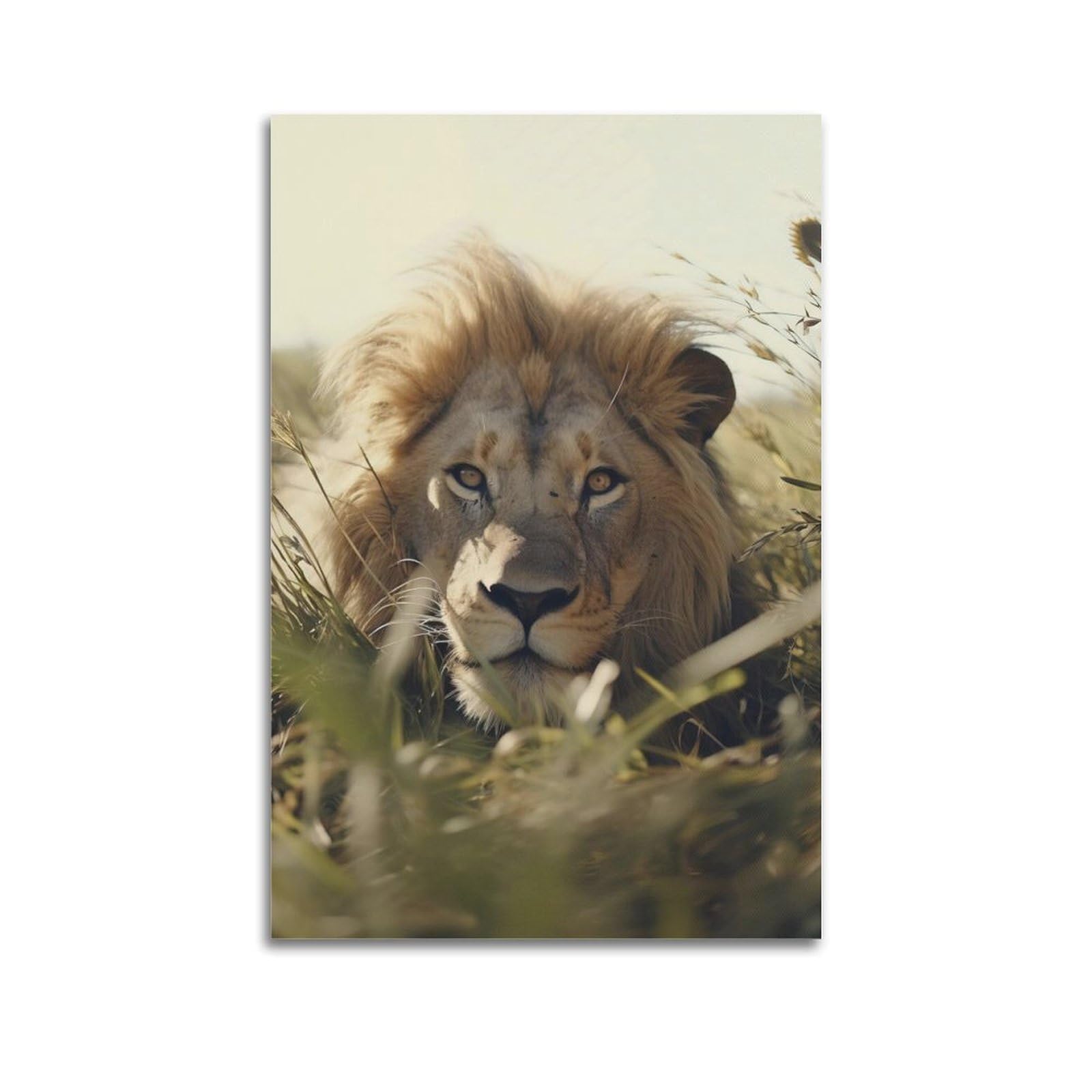 Xkuga Boys Unframe-Style African Lion Poster Portrait Nature Wildlife Savannah King Modern Decorative Canvas Prints - Ideal Wall Art For Family, Man Cave, Game Room, & Girls Bedroom 24X36inch(60X90cm)
