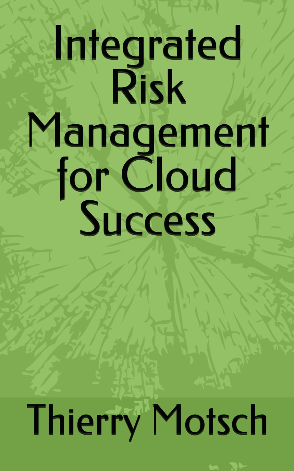 Integrated Risk Management for Cloud Success