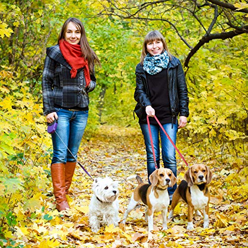 Yangbaga Guinzaglio per Cani Guinzaglio in Rosso