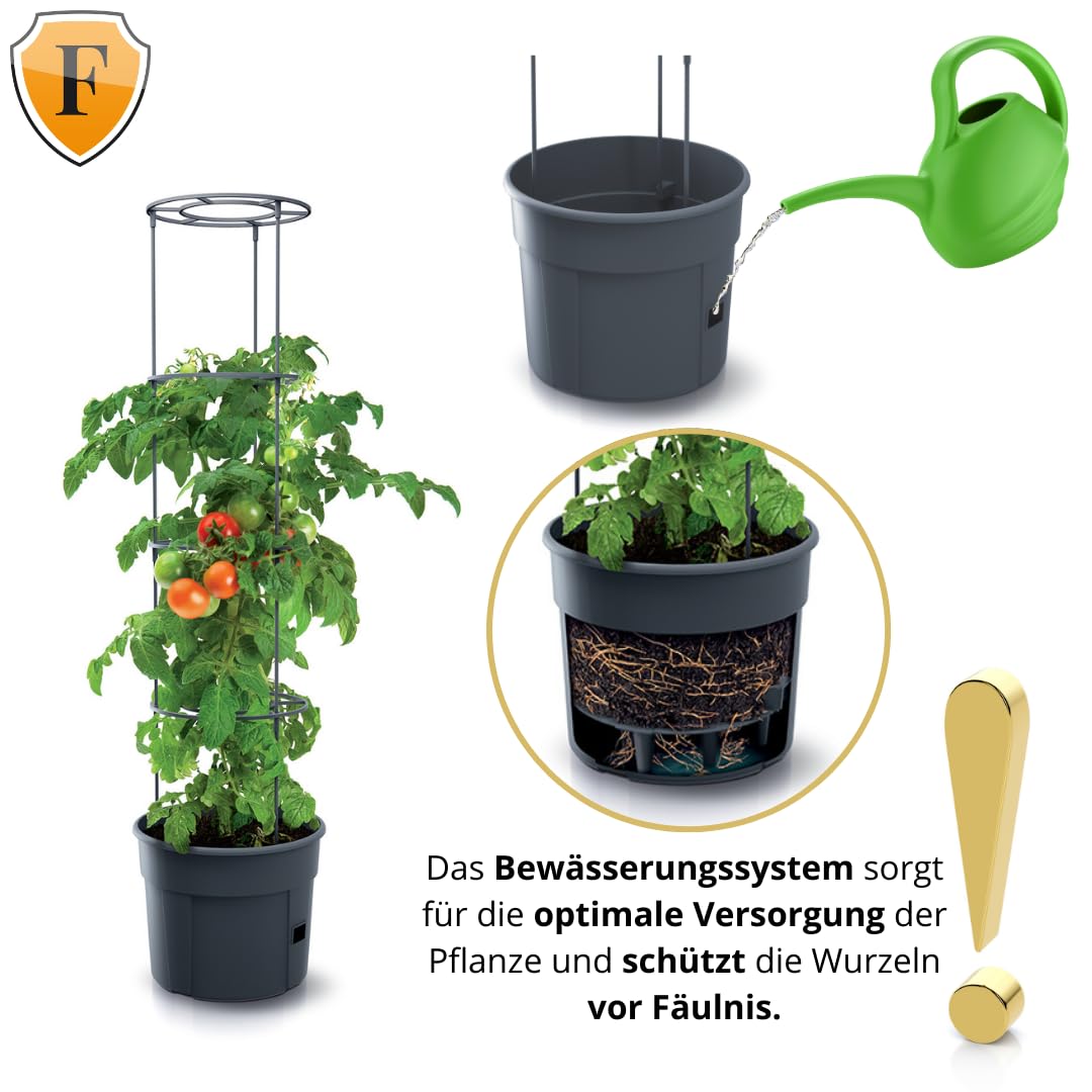 FORTENA 4X Tomatenzuchttopf für Balkon Garten Tomatentopf Tomatenzucht Tomatenkübel 28L