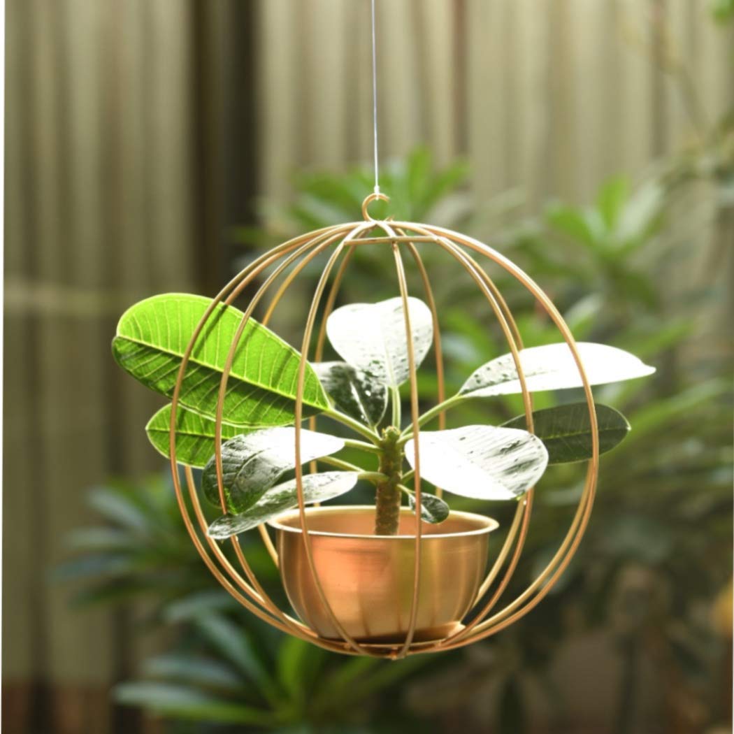 1 BHK Interiors Pumpkin Metal Cage Candle Holder/Hanging Planter Frame in Gold Finish