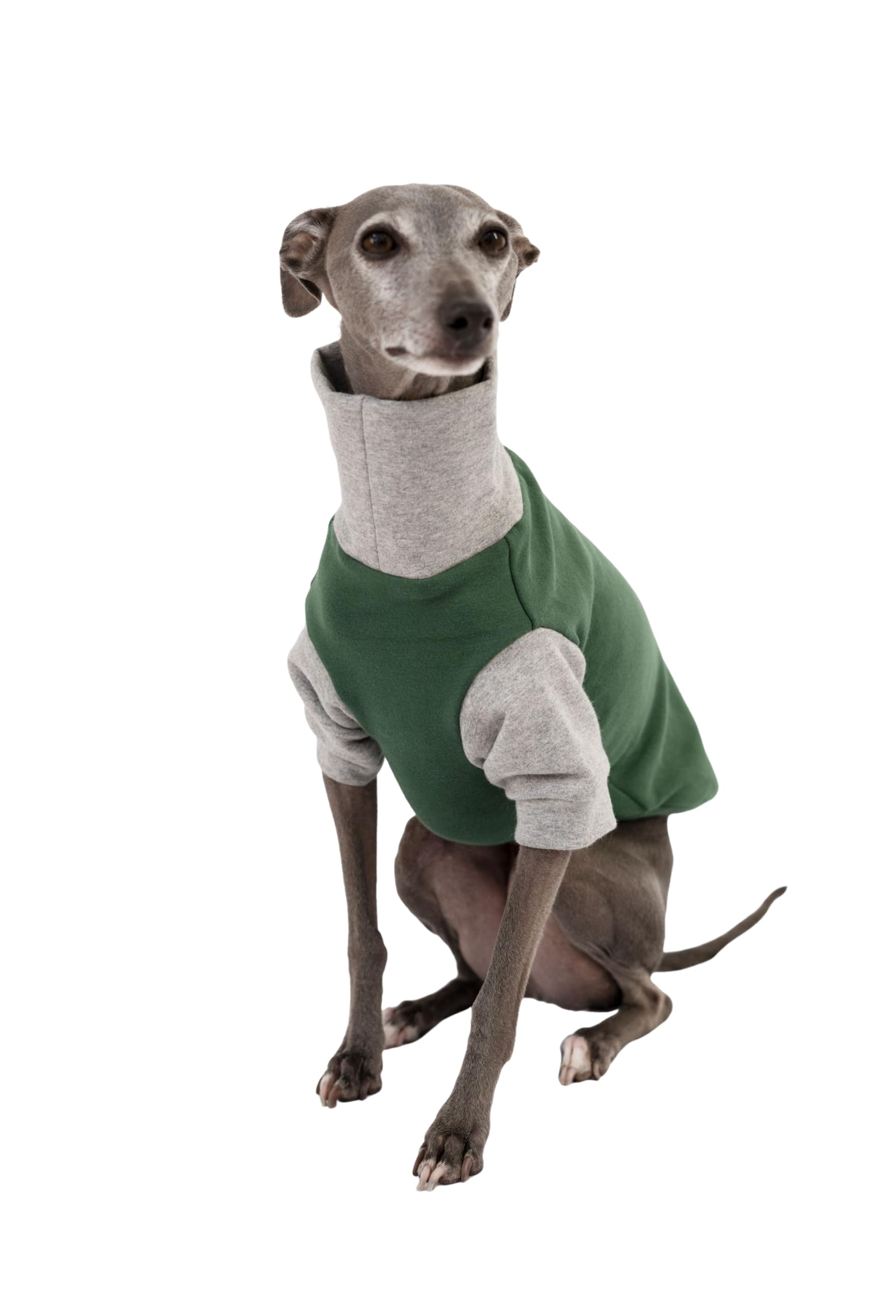 Fleece Lined Turtleneck Cozy Colorblock Sweatshirt for Italian Greyhounds, Whippets and Sighthounds