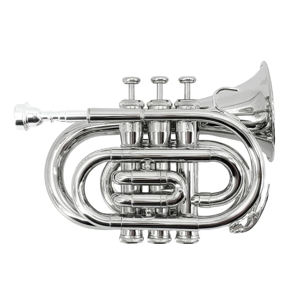Tromba tascabile professionale in ottone, finitura laccata, con custodia per il trasporto e accessori per la pulizia per principianti e musicisti (argento)
