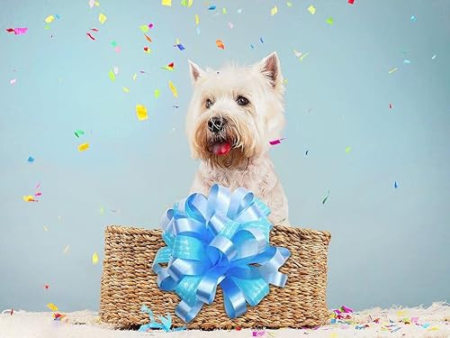 Miniatura 5 de 30 lazos multicolor para envolver regalos, lazos de regalo de cumpleaños, lazos variados, lazos de regalo de cumpleaños, bodas, regalos para caja de