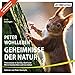 Produktbild Geheimnisse der Natur: Phänomene in Garten, Wald und Wiese beobachten und verstehen. 2x Wohlleben in einer Box