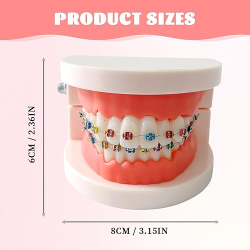 Miniatura 2 de Modelo de dientes de ortodoncia dental con aparatos ortopédicos coloridos, modelo profesional de boca de dentadura para demostración de estudio para