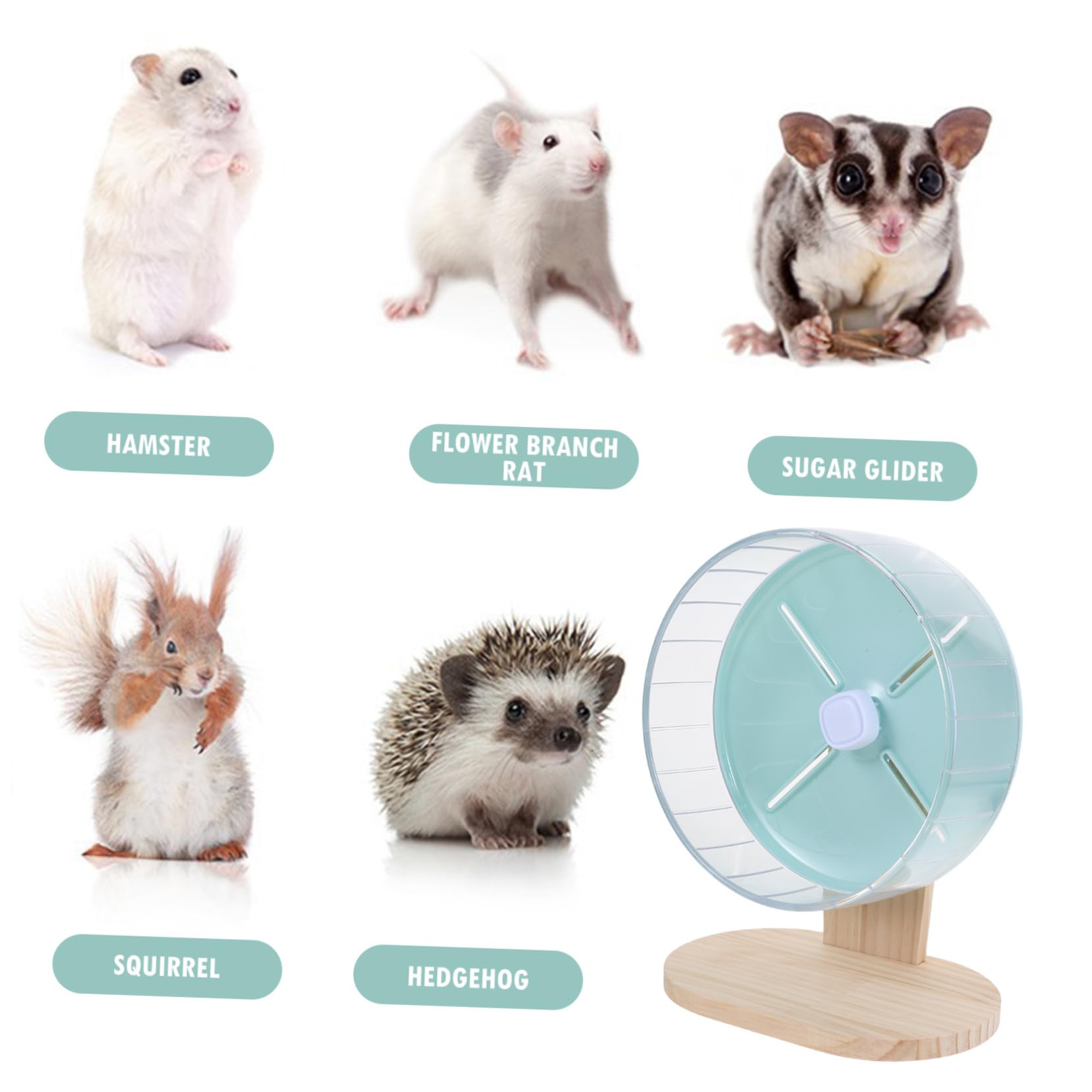 Toddmomy 1 Ensemble Silencieuses pour Hamsters et Petits Animaux de Roue avec Support Accessoire pour Rongeurs Chinchillas et