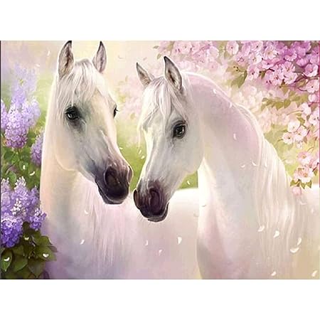 Bride De Sourcils Cheval 5 Rangées Avec Diamant - Bleu Ciel Et Blanc Cristal