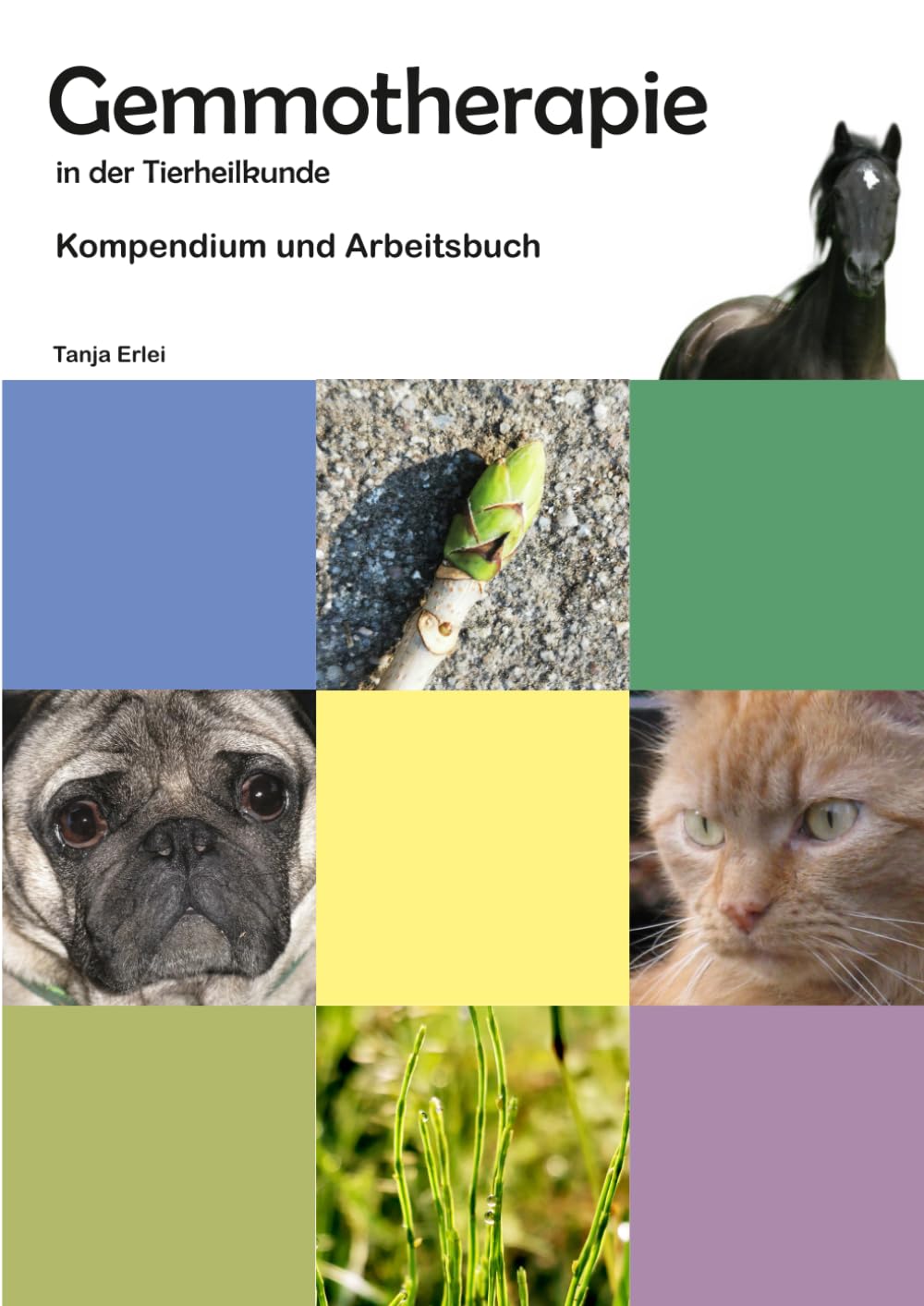 Gemmotherapie in der Tierheilkunde: Kompendium und Arbeitsbuch