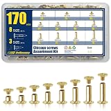 ArcNascency 170 Sets Gold Chicago Screws Leather Rivets Kit, 8 Sizes (M5*4,5,6,8,10,12,15,18) & 3 Screw Lengths (M4*3,4,5) for Belts, Bookbinding, DIY Leather (Gold)
