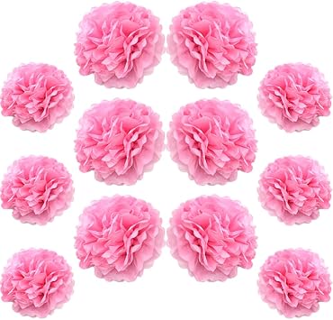 Ruidee 12 Pieces Tissue Paper Pompoms 10in and 12in Hanging Tissue Flowers Decorations Colour Paper Flower Ball Paper Flowers Pom Poms for Party Wedding Decoration ZH/Pink