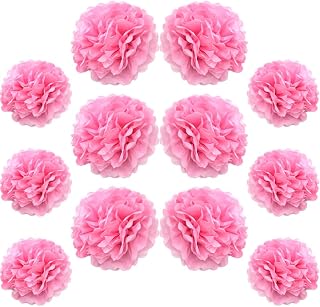 Ruidee 12 Pieces Tissue Paper Pompoms 10in and 12in Hanging Tissue Flowers Decorations Colour Paper Flower Ball Paper Flowers Pom Poms for Party Wedding Decoration (ZH/Pink)